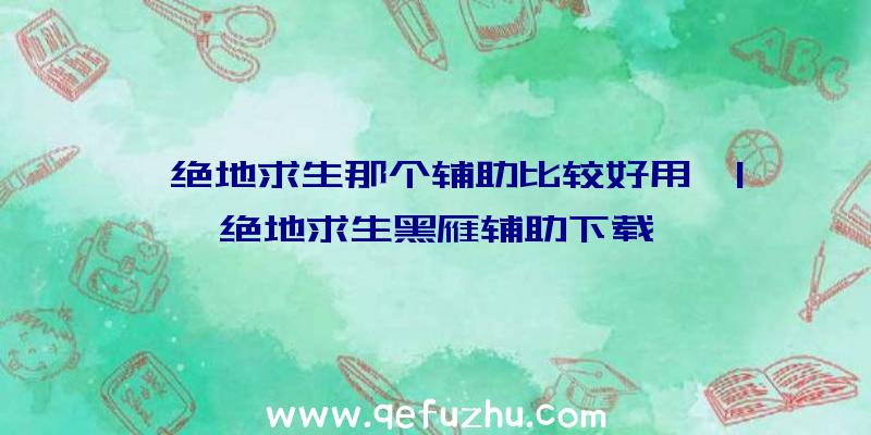 「绝地求生那个辅助比较好用」|绝地求生黑雁辅助下载